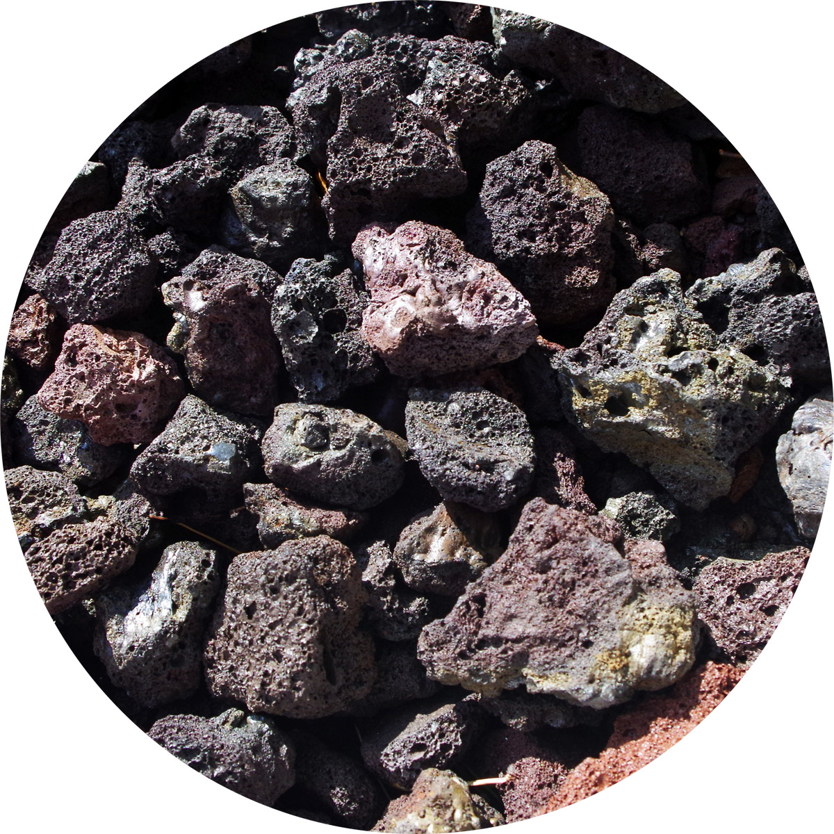 Buy Volcanic Lava Rock BBQ Specialist Aggregates Ltd